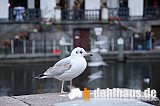 Hamburg 2013