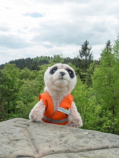 Gestatten? Mein Name ist Bo, Bo Erdmann. - BO