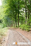 Vogtland Panorama Weg - 03