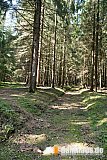 Vogtland Panorama Weg - 04