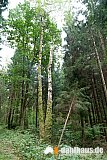 Vogtland Panorama Weg - 04