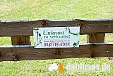 Vogtland Panorama Weg - 05