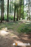 Vogtland Panorama Weg - 06