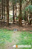 Vogtland Panorama Weg - 06