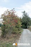 Vogtland Panorama Weg - 06