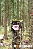 Vogtland Panorama Weg - 07