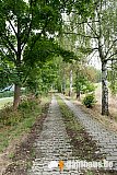 Vogtland Panorama Weg - 07