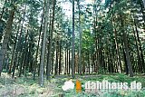 Vogtland Panorama Weg - 08