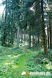 Vogtland Panorama Weg - 09