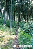 Vogtland Panorama Weg - 09