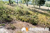 Vogtland Panorama Weg - 09