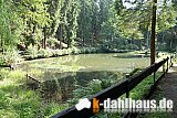 Vogtland Panorama Weg - 09
