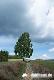 Vogtland Panorama Weg - 09