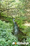 Vogtland Panorama Weg - 09