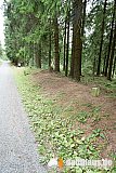 Vogtland Panorama Weg - 10