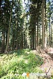 Vogtland Panorama Weg - 11