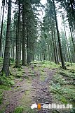Vogtland Panorama Weg - 11