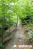 Vogtland Panorama Weg - 11