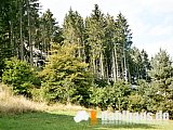 Vogtland Panorama Weg - 11