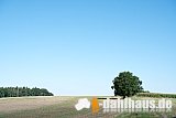 Vogtland Panorama Weg - 12