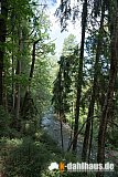Vogtland Panorama Weg - 12