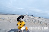 BO031 - Cuxhaven