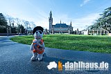 BO032 - Den Haag