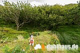 BO034 - Schottland 09